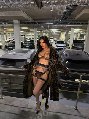 Trans Milana
